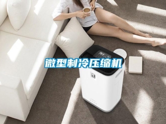 知識(shí)百科微型制冷壓縮機(jī)