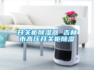 行業(yè)新聞開關(guān)柜除濕器 吉林市高壓開關(guān)柜除濕
