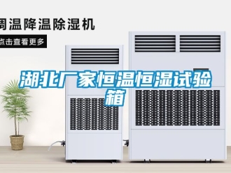 知識(shí)百科湖北廠家恒溫恒濕試驗(yàn)箱