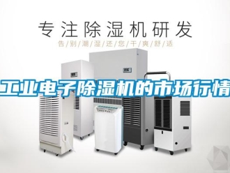 企業新聞工業電子除濕機的市場行情