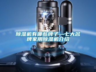 常見問題除濕機有哪些牌子—七大名牌家用除濕機介紹