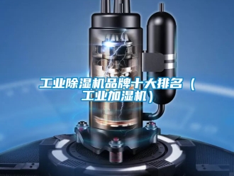 常見(jiàn)問(wèn)題工業(yè)除濕機(jī)品牌十大排名（工業(yè)加濕機(jī)）