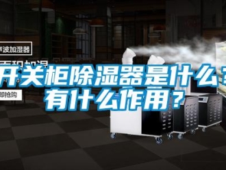 行業(yè)新聞開關(guān)柜除濕器是什么？有什么作用？