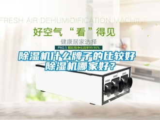 行業新聞除濕機什么牌子的比較好 除濕機哪家好？