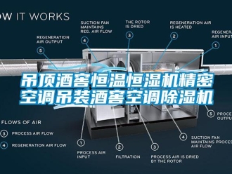 知識百科吊頂酒窖恒溫恒濕機精密空調吊裝酒窖空調除濕機