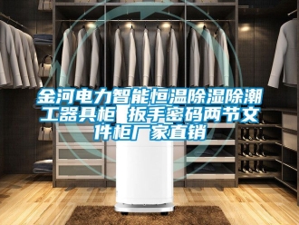 知識百科金河電力智能恒溫除濕除潮工器具柜 扳手密碼兩節文件柜廠家直銷