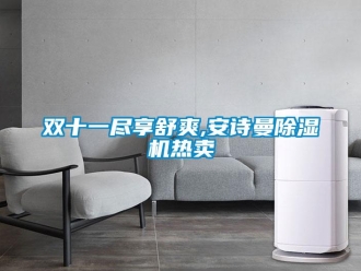 企業(yè)新聞雙十一盡享舒爽,安詩曼除濕機熱賣
