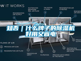 知識百科知否｜什么牌子的除濕機好用又省電