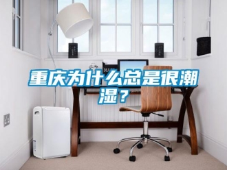 知識百科重慶為什么總是很潮濕？