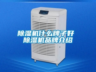 企業新聞除濕機什么牌子好 除濕機品牌介紹