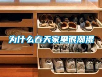知識百科為什么春天家里很潮濕