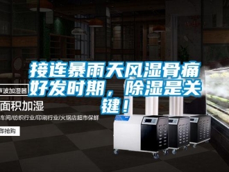 行業新聞接連暴雨天風濕骨痛好發時期，除濕是關鍵！