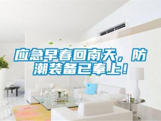 知識百科應急早春回南天，防潮裝備已奉上！