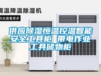 知識(shí)百科供應(yīng)除濕恒溫控溫智能安全工具柜 帶電作業(yè)工具儲(chǔ)物柜