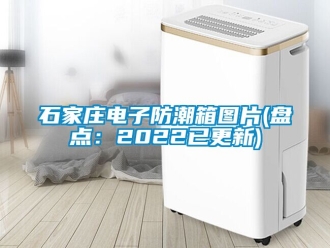 常見問題石家莊電子防潮箱圖片(盤點：2022已更新)