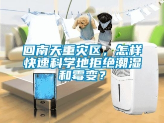 常見問題回南天重災區(qū)，怎樣快速科學地拒絕潮濕和霉變？