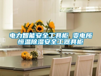 知識百科電力智能安全工具柜 變電所恒溫除濕安全工器具柜