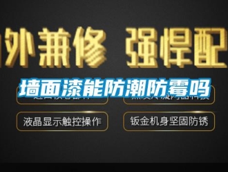 常見問題墻面漆能防潮防霉嗎