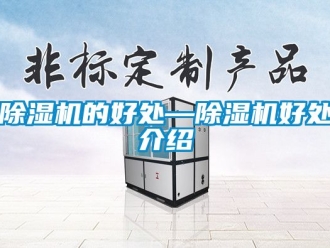 企業新聞除濕機的好處—除濕機好處介紹