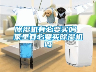 行業(yè)新聞除濕機有必要買嗎 家里有必要買除濕機嗎
