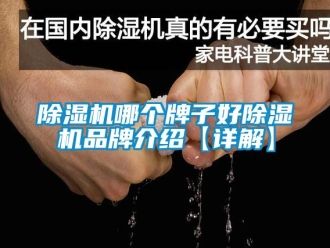 企業新聞除濕機哪個牌子好除濕機品牌介紹【詳解】