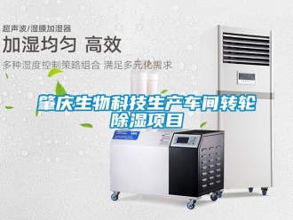 常見(jiàn)問(wèn)題肇慶生物科技生產(chǎn)車間轉(zhuǎn)輪除濕項(xiàng)目
