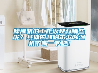 企業(yè)新聞除濕機(jī)的工作原理有哪些呢？具體的和哈爾濱除濕機(jī)了解一下吧！