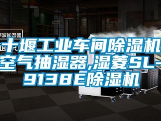 常見問題十堰工業車間除濕機空氣抽濕器,濕菱SL-9138E除濕機