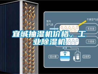 常見問題宜城抽濕機價格，工業除濕機