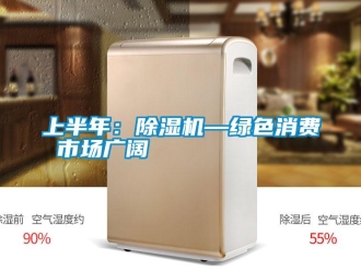 知識百科上半年：除濕機—綠色消費 市場廣闊