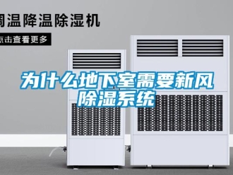 知識百科為什么地下室需要新風除濕系統