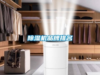 企業新聞除濕機品牌排名