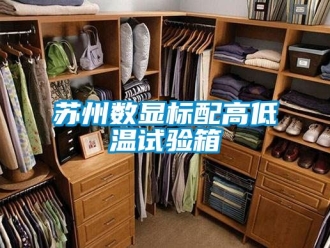常見(jiàn)問(wèn)題蘇州數(shù)顯標(biāo)配高低溫試驗(yàn)箱