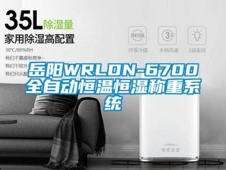 知識百科岳陽WRLDN-6700全自動恒溫恒濕稱重系統