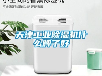 常見問題天津工業(yè)除濕機什么牌子好