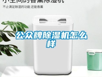 行業新聞公眾牌除濕機怎么樣
