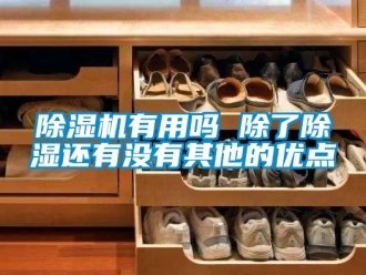 行業(yè)新聞除濕機有用嗎 除了除濕還有沒有其他的優(yōu)點