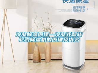 常見問題冷凝除濕原理—冷凝式和轉輪式除濕機的原理及優劣