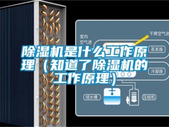 行業(yè)新聞除濕機(jī)是什么工作原理（知道了除濕機(jī)的工作原理）