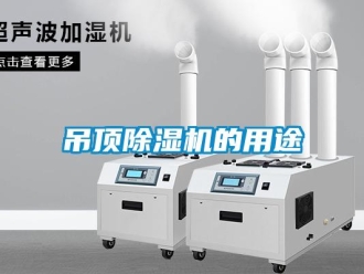 企業新聞吊頂除濕機的用途