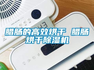 行業新聞臘腸的高效烘干 臘腸烘干除濕機