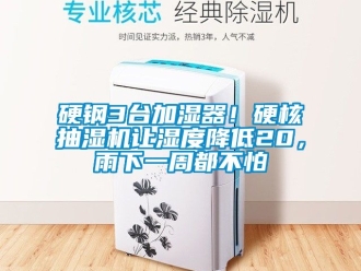 企業新聞硬鋼3臺加濕器！硬核抽濕機讓濕度降低20，雨下一周都不怕