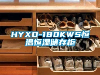 常見問題HYXD-180KWS恒溫恒濕儲存柜