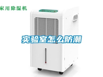 常見問題實(shí)驗(yàn)室怎么防潮