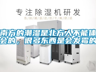 行業新聞南方的潮濕是北方人不能體會的，很多東西是會發霉的