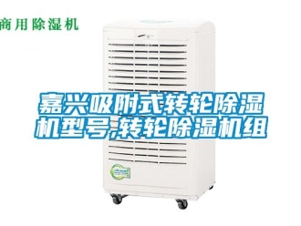 常見問題嘉興吸附式轉輪除濕機型號,轉輪除濕機組