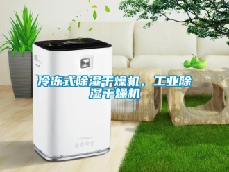 行業(yè)新聞冷凍式除濕干燥機(jī)，工業(yè)除濕干燥機(jī)