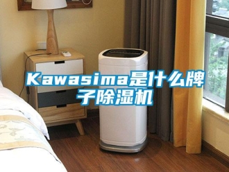 企業新聞Kawasima是什么牌子除濕機