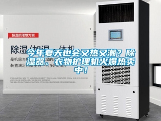 行業(yè)新聞今年夏天也會(huì)又熱又潮？除濕器、衣物護(hù)理機(jī)火爆熱賣中！