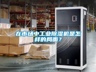 常見問題在市場中工業除濕機是怎樣的局面？